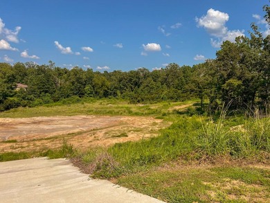 This Central Located lot are just off Hwy 6 near Pendleton - photo 2