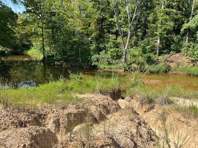 This Central Located lot are just off Hwy 6 near Pendleton - photo 4