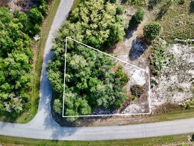 Lake Marion - Polk County Lot For Sale in  Florida