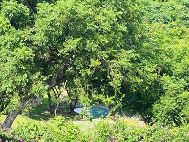 Luxury Equestrian Estate, Punta Barco, Panama Republic - photo 22