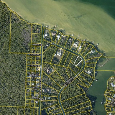 Nestled in the sought-after Woodland Bayou area, This Lot comes - photo 1