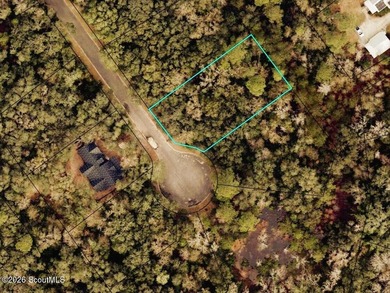 EXCEPTIONAL WOODED HOMESITE IN THE OAKS OF CUMBERLAND HARBOUR - photo 1