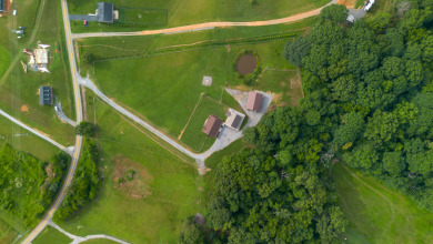 MINI FARM IN THE HEART OF DUMPLIN VALLEY! - photo 3