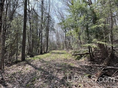 (private lake, pond, creek) Acreage For Sale in Gwinn Michigan