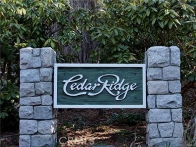 Lake Lot For Sale in Lake Arrowhead, California