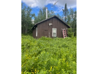 Lake Acreage For Sale in Irma, Wisconsin