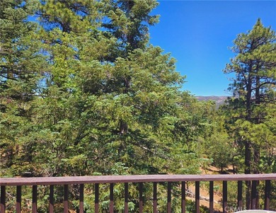 41620 Thrush Ct - photo 24
