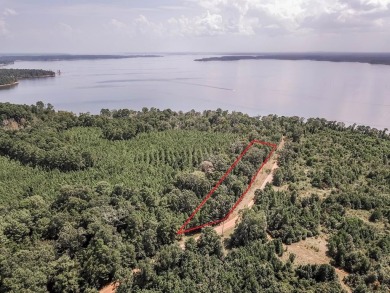 Lake Acreage For Sale in Etoile, Texas