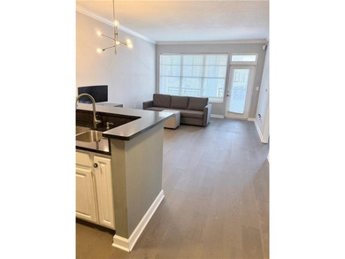 Lake Clara Meer Condo For Sale in Atlanta Georgia