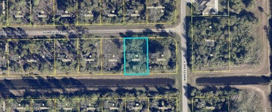 Lehigh Acres Area Lot For Sale in Lehigh Acres Florida