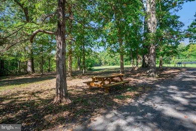 Welcome to Wyndemere-where elevated design meets the LAKE ANNA - photo 47