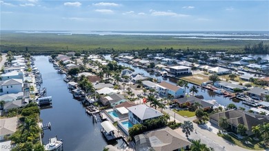 Discover a true waterfront escape in unincorporated Matlacha - photo 48