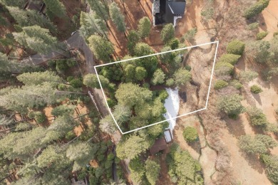 (private lake, pond, creek) Lot For Sale in Arnold California