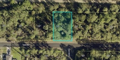Lake Lot For Sale in Lehigh Acres, Florida