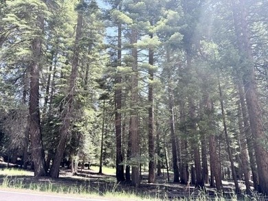 Superior Lake Almanor Country Club lot in an exceptional - photo 1