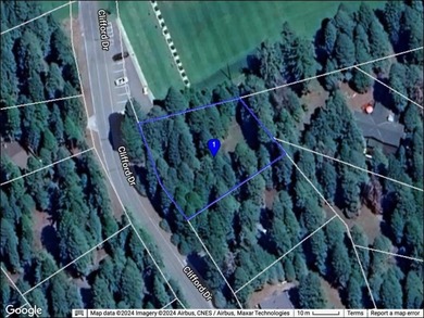 Superior Lake Almanor Country Club lot in an exceptional - photo 2