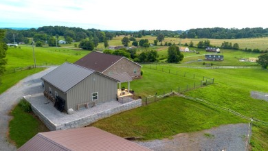 MINI FARM IN THE HEART OF DUMPLIN VALLEY! - photo 6