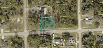 Lehigh Acres Area Lot For Sale in Lehigh Acres Florida