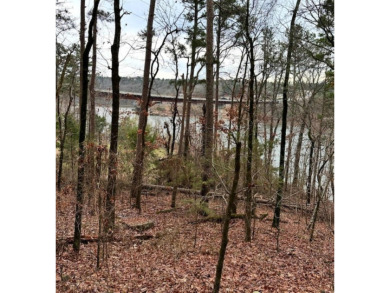 Lake Acreage For Sale in Edgemont, Arkansas