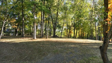 Lake Lot For Sale in Grass Lake, Michigan