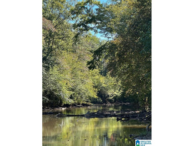(private lake, pond, coastal) Acreage For Sale in Muscadine Alabama