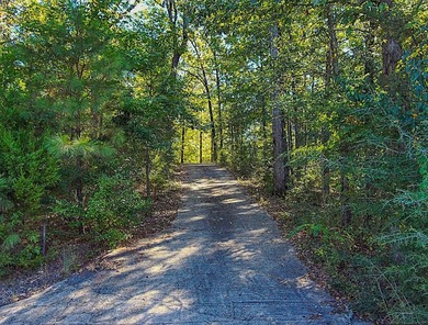 Green Acres - Exclusive Waterfront Property on Toledo Bend A - photo 36