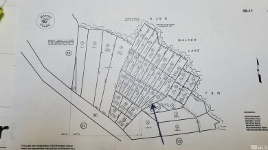 Lake Lot For Sale in Walker Lake, Nevada