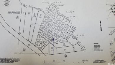 Lake Lot For Sale in Walker Lake, Nevada