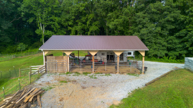 MINI FARM IN THE HEART OF DUMPLIN VALLEY! - photo 27