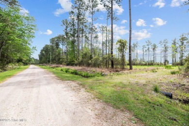 Expansive Bay River Views, cleared homesite and septic system in - photo 4
