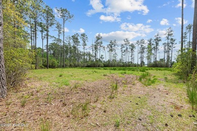 Expansive Bay River Views, cleared homesite and septic system in - photo 5