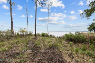 Expansive Bay River Views, cleared homesite and septic system in - photo 6