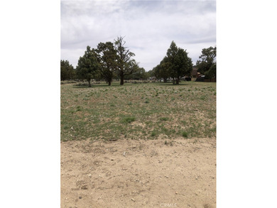 Erwin Lake Lot For Sale in Big Bear City California