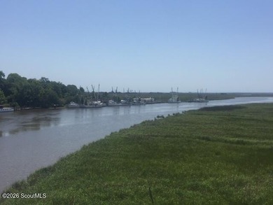 The charm of a Southern neighborhood is Tolomato Island located - photo 16