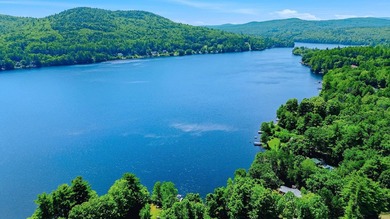 Rarely does 205 feet of private waterfront on Franklin Pierce - photo 1