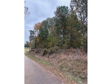 Lake Acreage For Sale in Texarkana, Texas