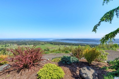 World class views from this newer custom built home in the gated - photo 3