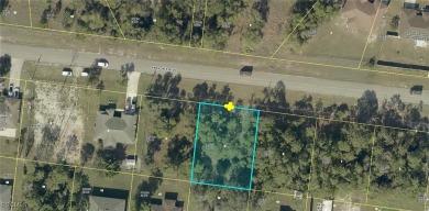 Lehigh Acres Area Lot For Sale in Lehigh Acres Florida