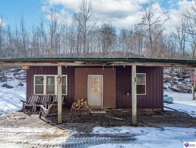 (private lake, pond, creek) Home For Sale in Stephensport Kentucky