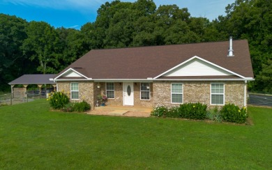 MINI FARM IN THE HEART OF DUMPLIN VALLEY! - photo 1