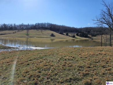 Lake Acreage For Sale in Clarkson, Kentucky