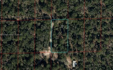 Lake Sumter Lot For Sale in Other City - In The State Of Florida Florida