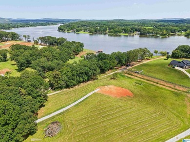 One of the last remaining lots available at Lokey Landing - photo 12