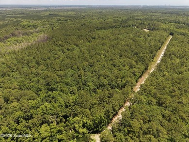 7.58 Acres - Maple Ford Road Discover the perfect blend of - photo 3