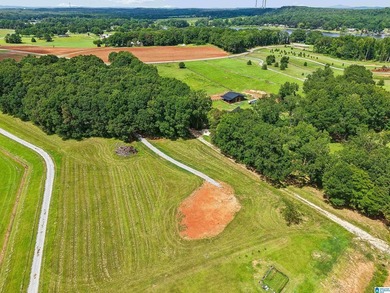 One of the last remaining lots available at Lokey Landing - photo 14