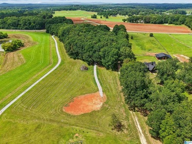 One of the last remaining lots available at Lokey Landing - photo 15