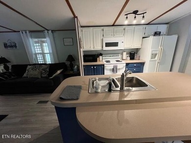 **MOTIVATED SELLER** Approx. 300 feet of lake frontage is a rare - photo 6