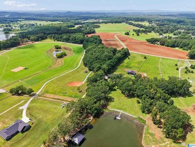 One of the last remaining lots available at Lokey Landing - photo 17