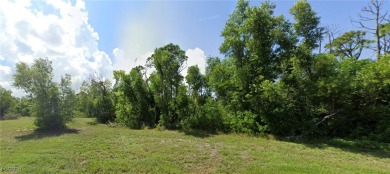 Discover this prime, southern-facing lot in NW Cape - photo 10
