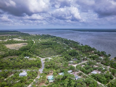Welcome to the fly-in, gated community of Tarpine, located just - photo 10
